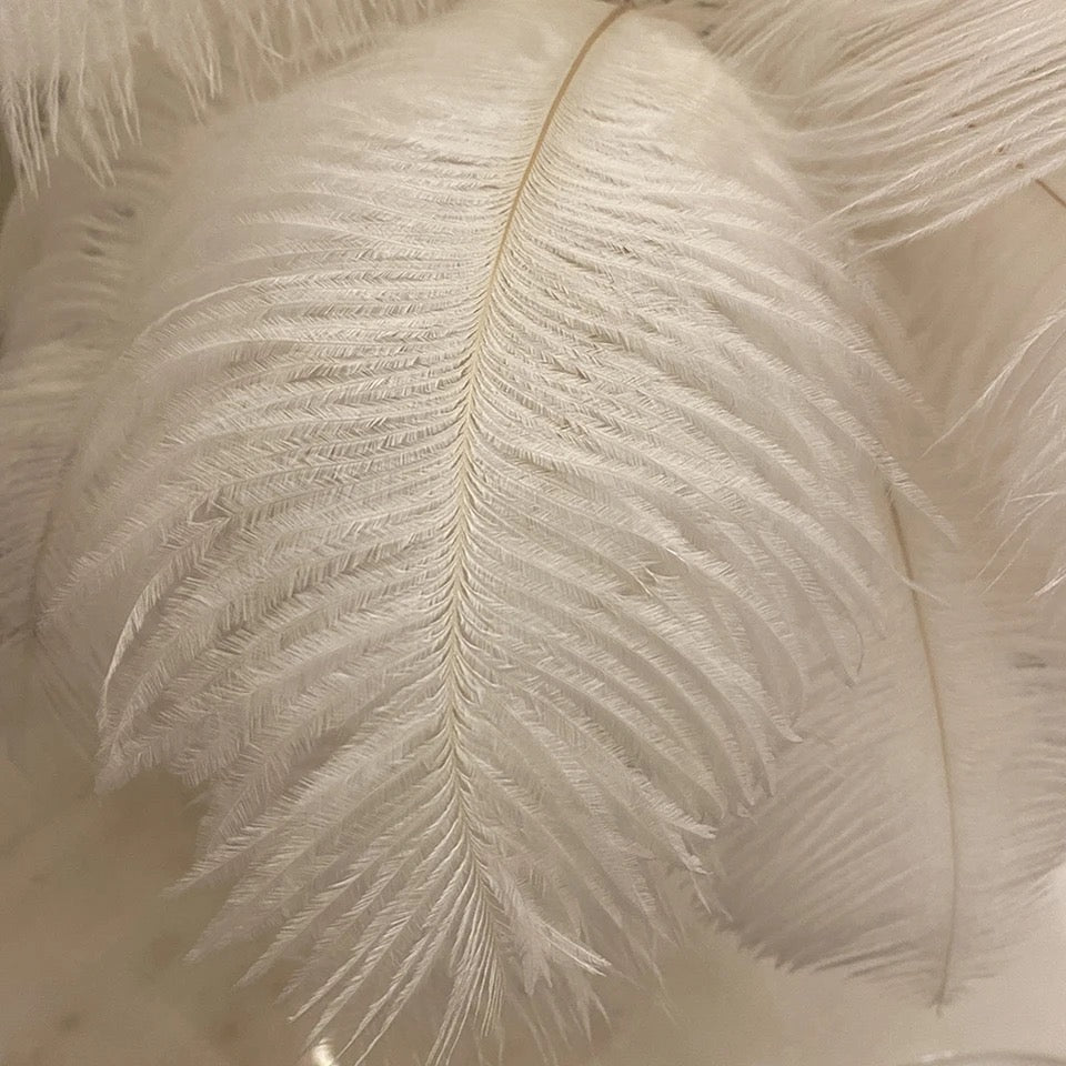 Ostrich Feather Lamp Light