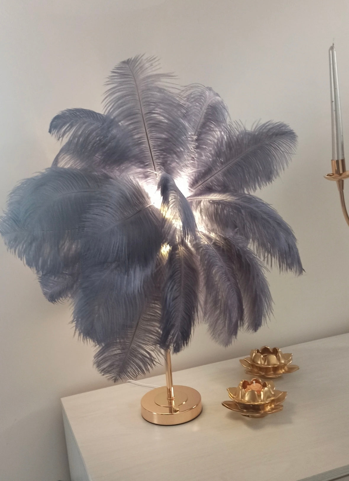 Ostrich Feather Lamp Light