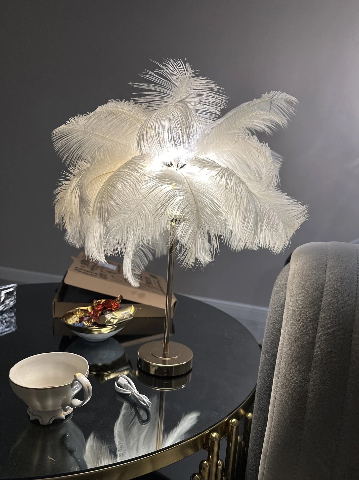 Ostrich Feather Lamp Light