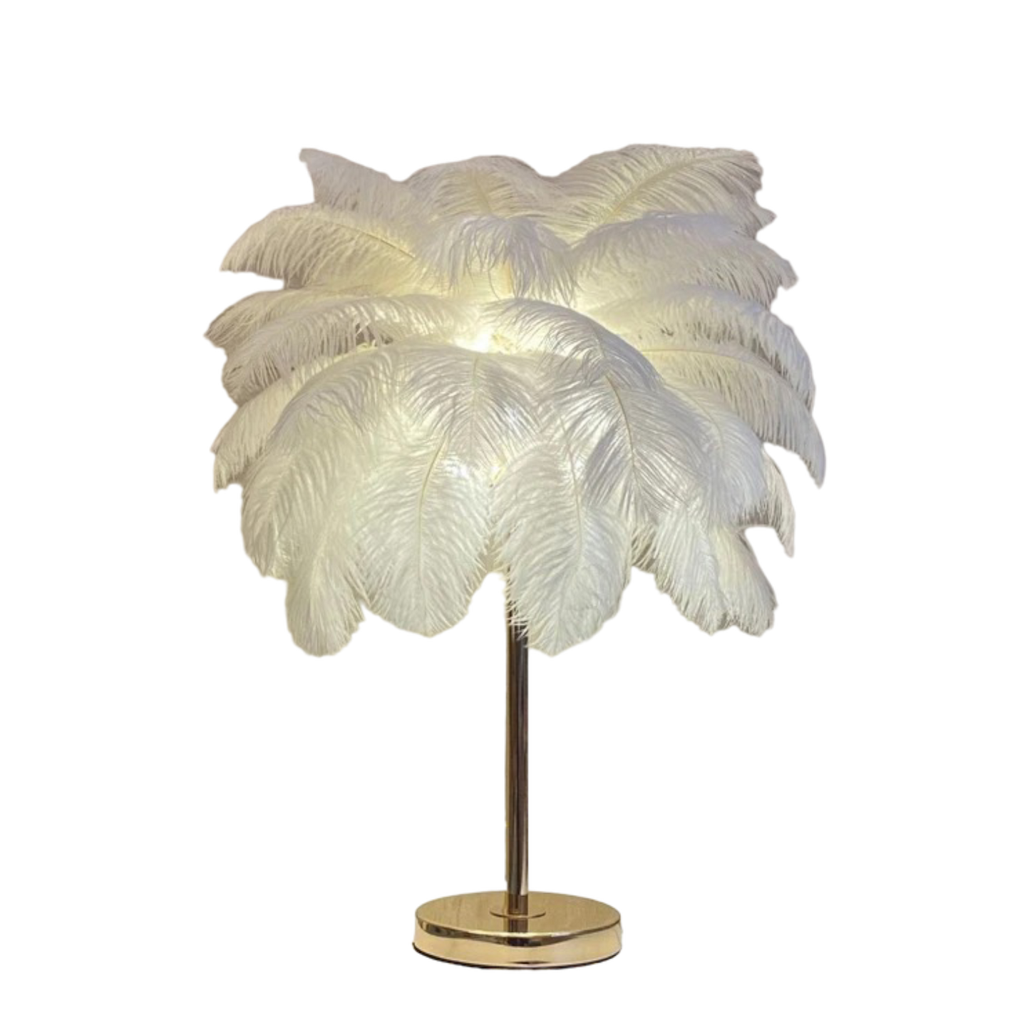 Ostrich Feather Lamp Light